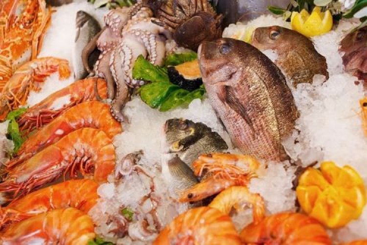 Global Frozen Seafood Market Report 2024: Market Size, CAGR, Lucrative Segments And Top Regions