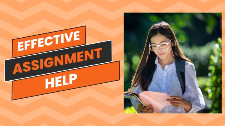 The Ultimate Guide to Effective Assignment Help Resources