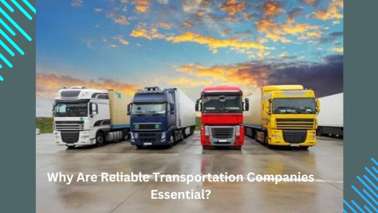 Why Are Reliable Transportation Companies Essential?