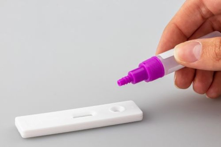 Global Lateral Flow Assays Market Report 2024: Market Size, CAGR, Lucrative Segments And Top Regions