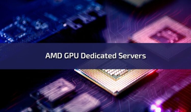 AMD GPU Dedicated Servers: A Comprehensive Guide