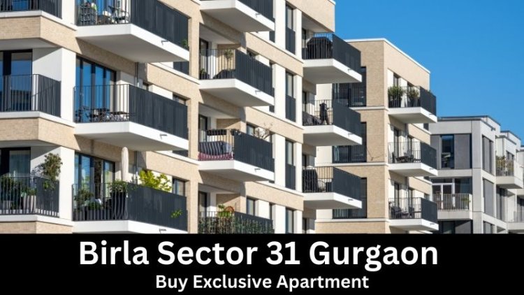 Birla Sector 31 Gurgaon | Buy Exclusive Apartment