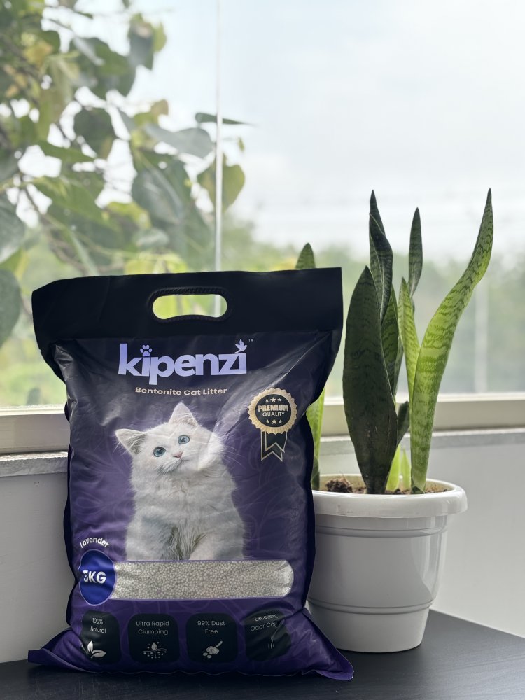 Kipenzi - Caring for Multiple Cats: Why Bentonite Cat Litter is a Game Changer