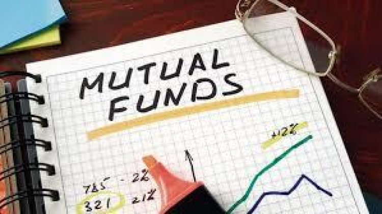 Can you Segregate Clients in the Best Mutual Fund Software In India?