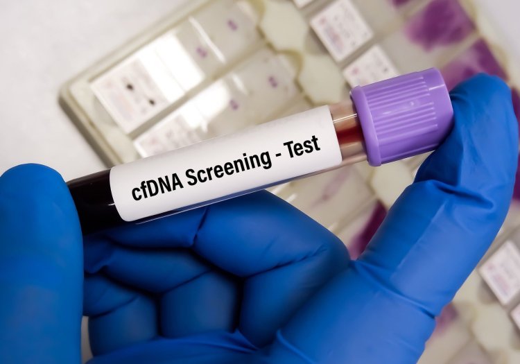 Cell Free DNA (cfDNA) Testing Market Size, Analysis, Trends, and Strategies 2024–2033