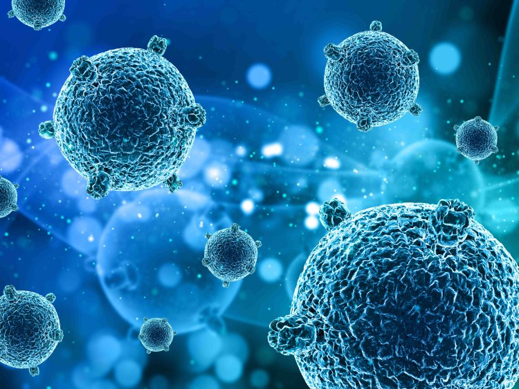 Cell Signaling Market Size Trends, Growth, and Outlook 2024-2033