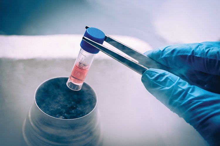 Cell Therapy Human Raw Materials Market Overview, Outlook, Size, and Share 2024-2033