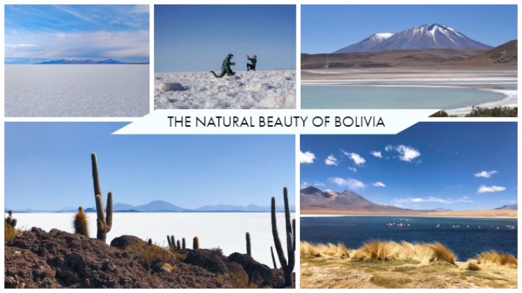Bolivia: A Land of Wonders