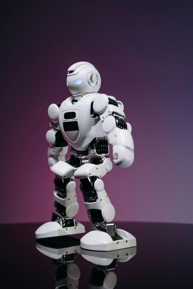 Commercial Robots Market 2024-2033: Technological Advancements, Competitive Landscape and Strategies
