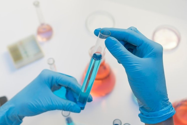 Platelet Rich Plasma Market Outlook 2024-2033: Trends and Projections