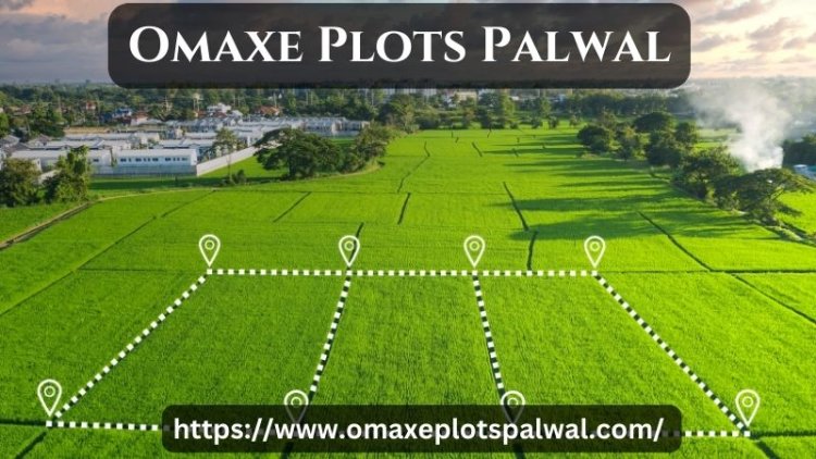 Omaxe Plots Palwal | Property For Sale