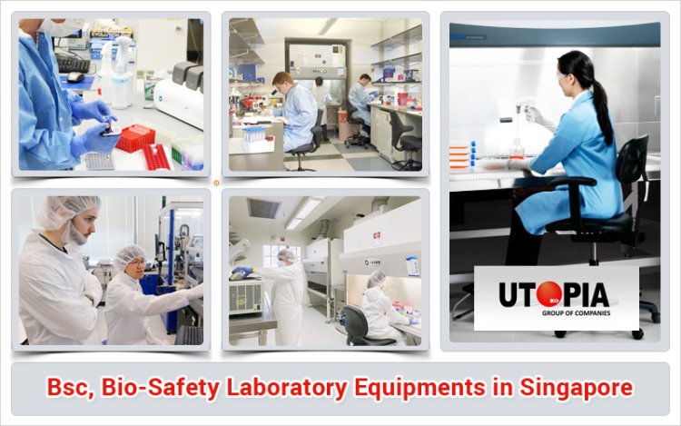 Comprehensive Guide to Bio Safety Laboratories: Standards, Design, and Maintenance
