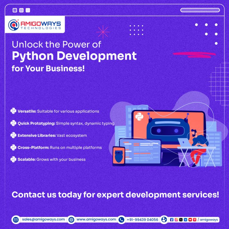 Expert Python Development Services in India - Amigoways