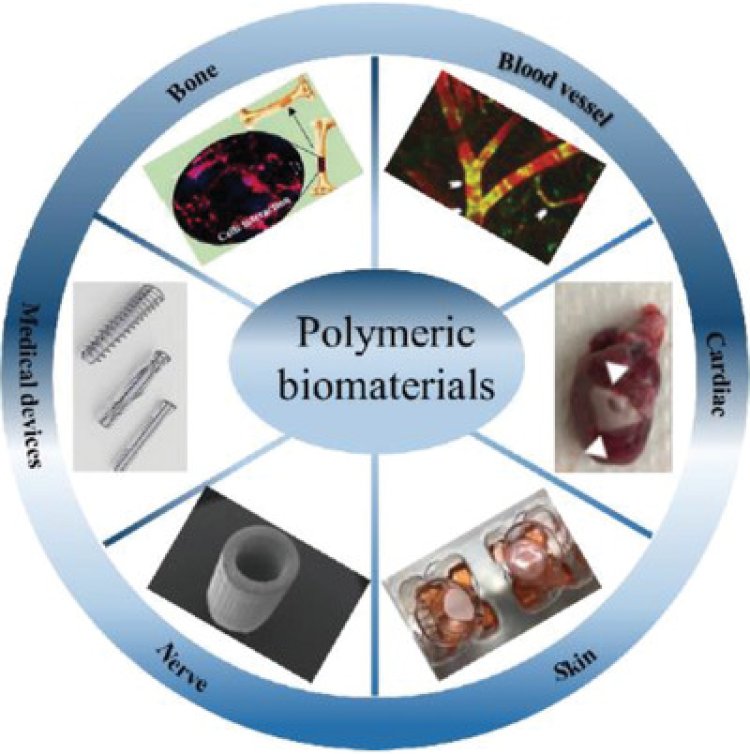 Polymeric Biomaterials Market Trends, Size, and Forecast 2024-2033