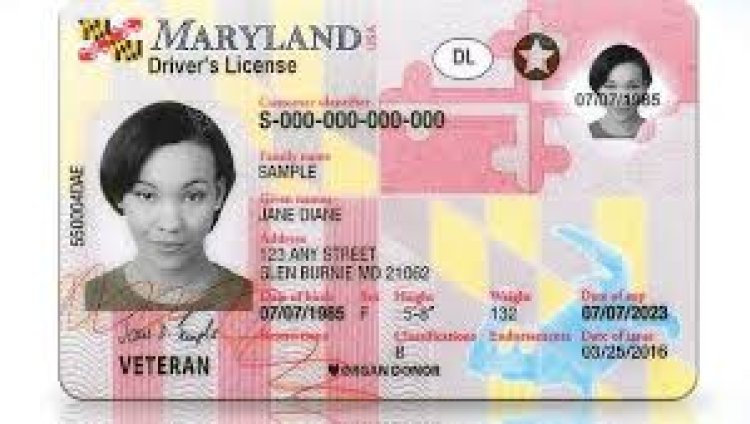 Spotting Fake Maryland Driver's License: A Comprehensive Guide