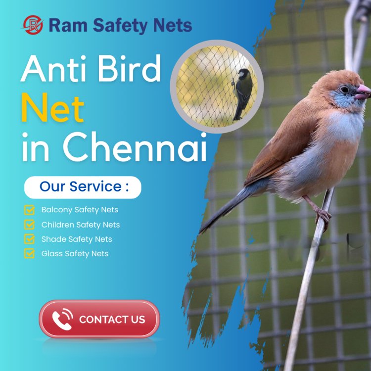Anti Bird Net in Chennai