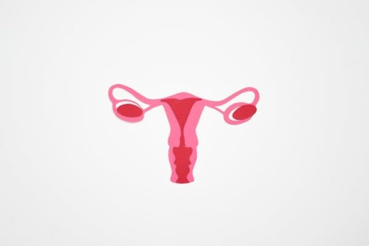 Vaginal Rejuvenation Global Market 2024 - Driving Factors, Industry Challenges, Business segmentation, Leading countries And Forecast To 2033