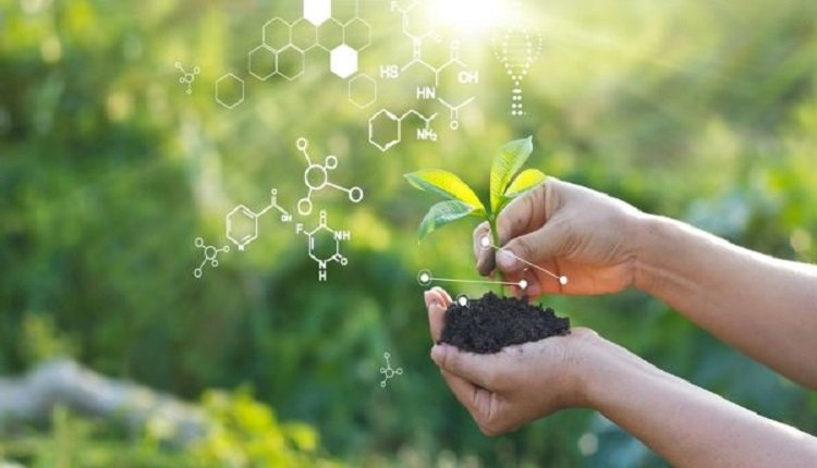 Humic-based bio stimulants Market Rides Organic Pesticide Wave