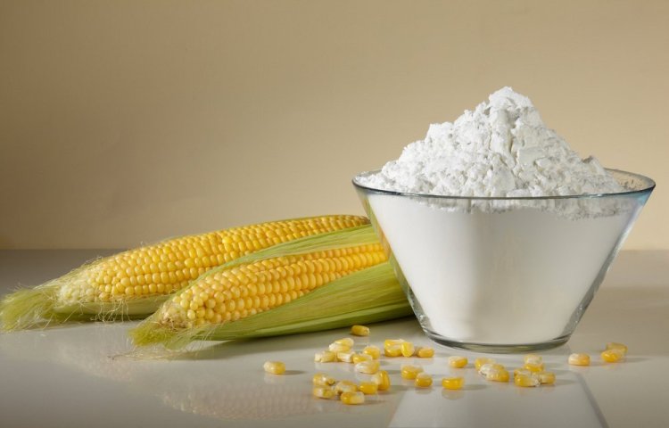 Modified Starch Market Size, Insights Forecast, Growth, Trends 2024-2033