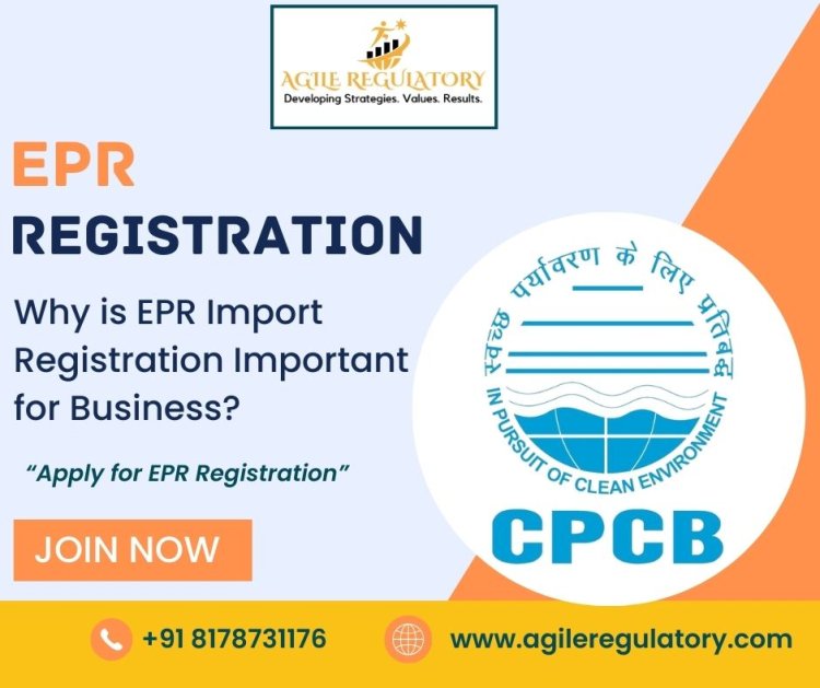 Why is EPR Import Registration Important for Business?