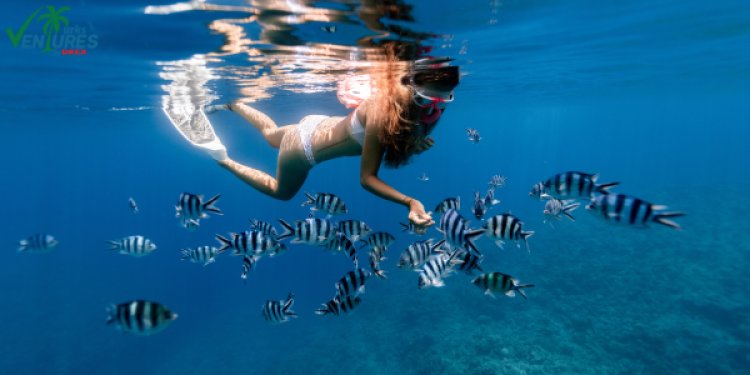 Snorkeling Tour in Turks and Caicos Islands