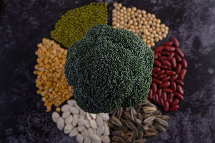 Vegetable Seeds  Market Size, Growth Analysis, Growth Demands, Forecast to 2033