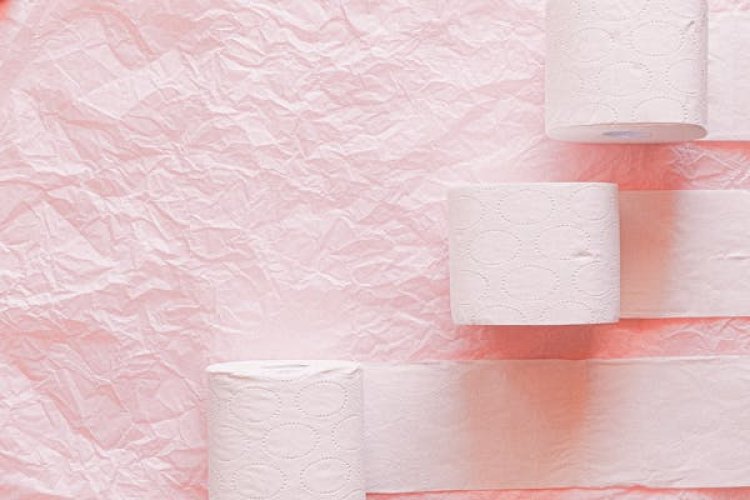 Toilet Roll Global Market 2024 - By Share, Growth, Demand, Trends, Forecast To 2033