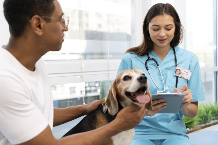 Veterinary Software  Market Size Trends, Growth, and Outlook 2024-2033