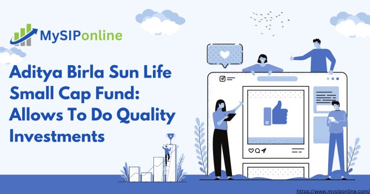 Aditya Birla Sun Life Small Cap Fund:  Allows To Do Quality Investments