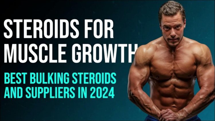 Best Bulking Steroids Reviews: Is It Good to Use for Muscle Growth!