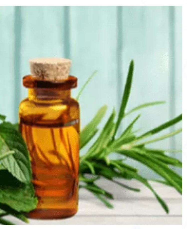 What are the benefits Of Versatile Tea Tree Oil?