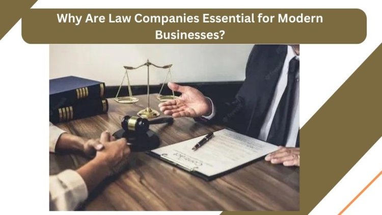 Why Are Law Companies Essential for Modern Businesses?