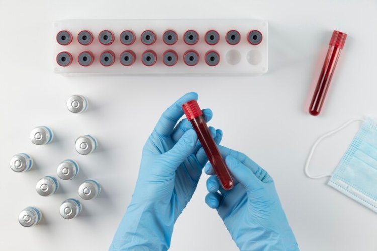 Capillary Blood Collection Devices Market Size, Trends, Growth By 2024-2033