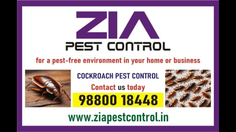 Zia pest control service | School Residence and office  Bangalore | 1961