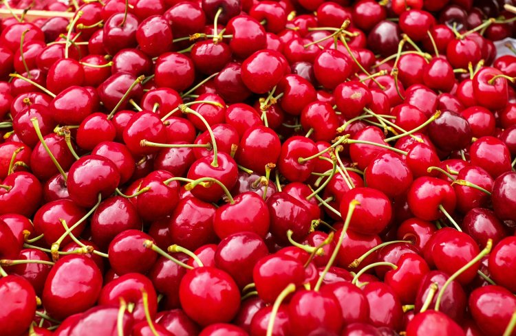 Cherries market Market Overview 2024: Size, Growth Rate, and Segments