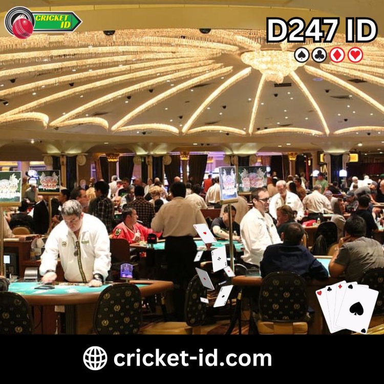D247 ID: Where Every Bet is a New Adventure