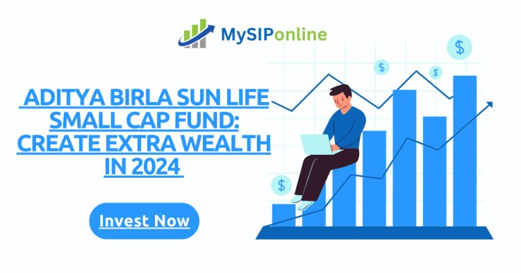 Aditya Birla Sun Life Small Cap Fund: Create Extra Wealth in 2024