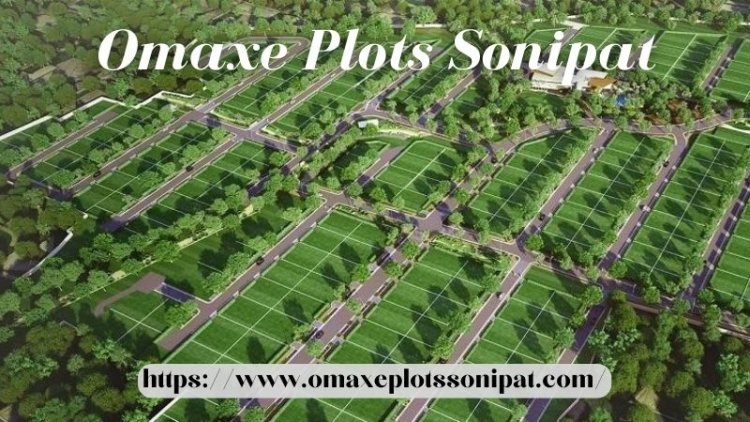 Omaxe Plots Sonipat | Investment For Growth