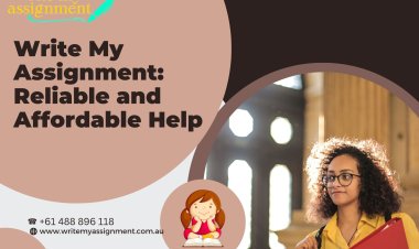 Write My Assignment: Reliable and Affordable Help