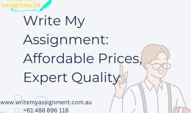 Write My Assignment: Affordable Prices, Expert Quality