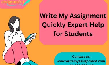 Write My Assignment Quickly Expert Help for Students