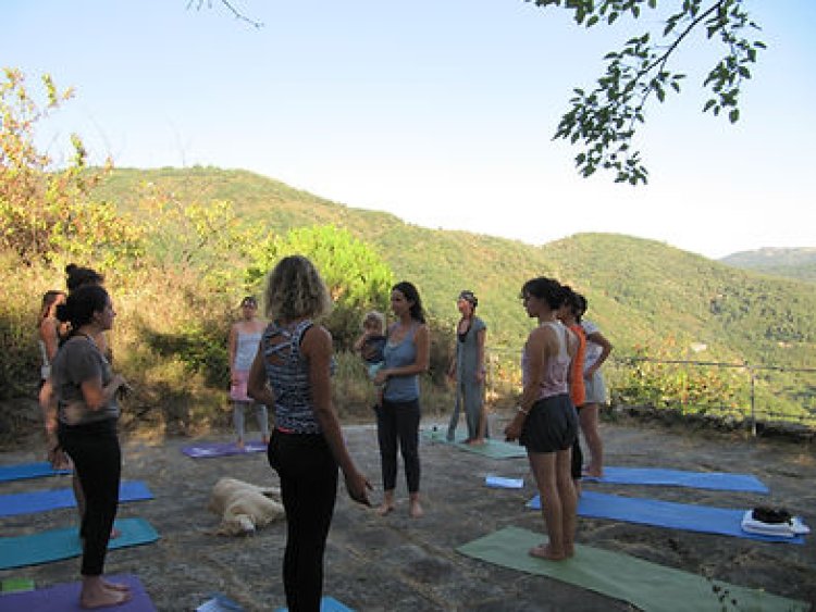 How to Choose the Best Yoga Teacher Trainings in France