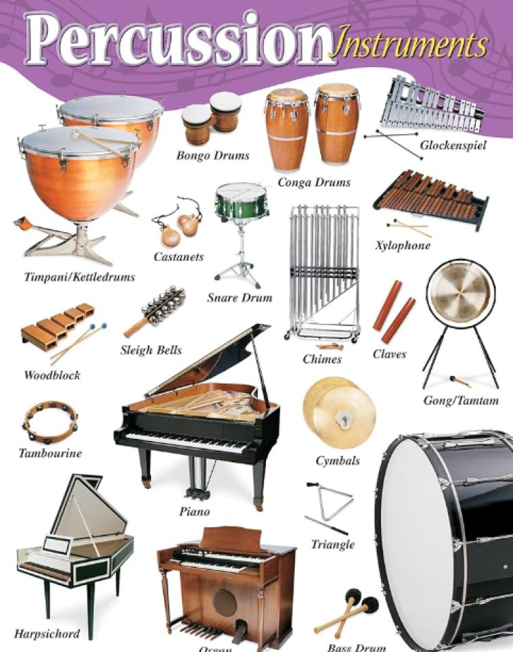 Percussion Instruments Market Overview 2024: Size, Growth Rate