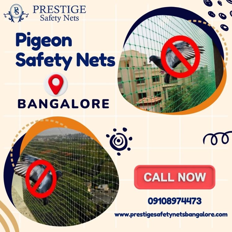 Choose Prestige for Pigeon Safety Nets in Bangalore at the Best Price