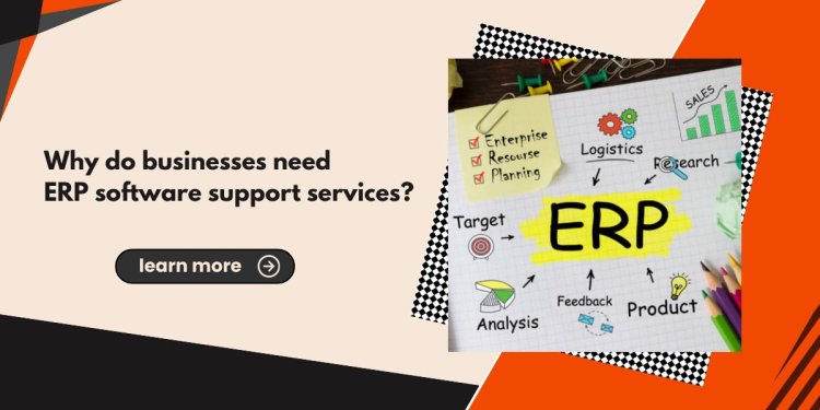 Why do businesses need ERP software support services?