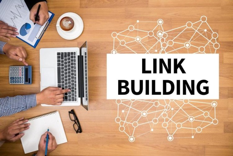 Best SEO Link Building Company You Need for Business
