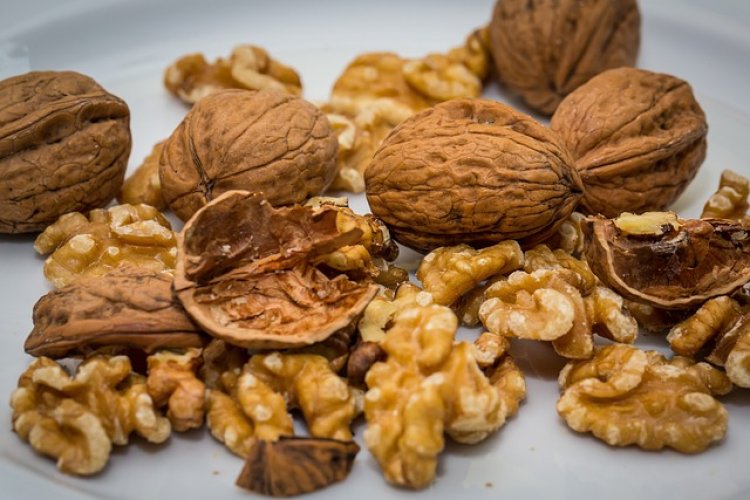 Walnuts Global Market Exhibit a Remarkable CAGR of 5.8% and is expected to reach $9.59 Billion By 2028