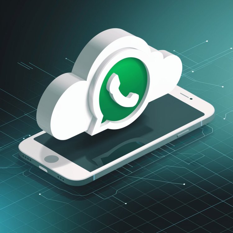 What is a WhatsApp Business API Provider?
