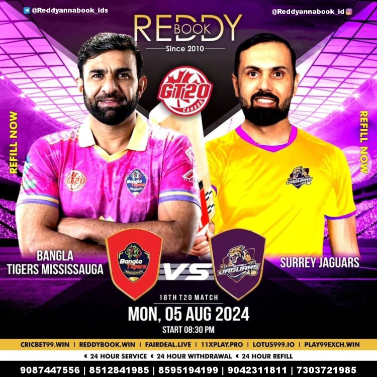 Reddy Anna is the go-to ID service provider for cricket enthusiasts