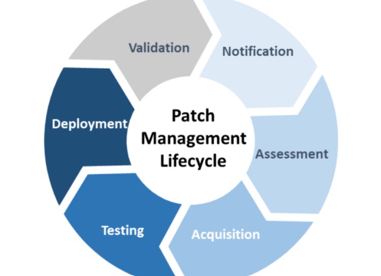 Patch Management Market Report 2024-2033: Size, Trends, Analysis, Insights, and Overview